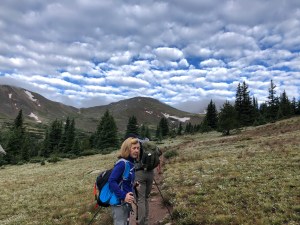 Views coming out of the tree line.